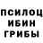 Галлюциногенные грибы прущие грибы Fiqo GD
