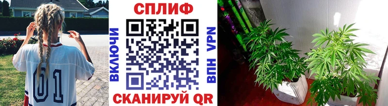 Марихуана Ganja  цены наркотик  Томилино 